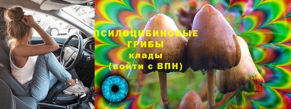 PSILOCYBIN Алексеевка