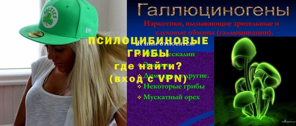 PSILOCYBIN Алексеевка