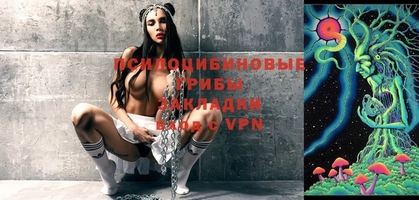 PSILOCYBIN Алексеевка